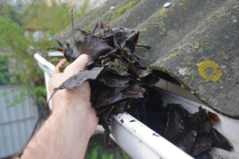 Rain Gutter Clearing in Annapolis, MD