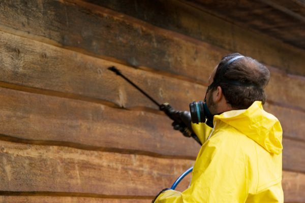Cedar Siding Washing Service